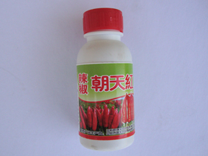 辣椒 朝天紅