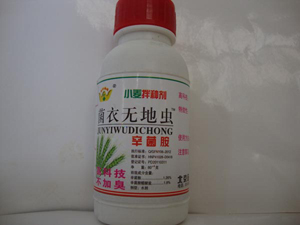 小麥菌衣無(wú)地蟲
