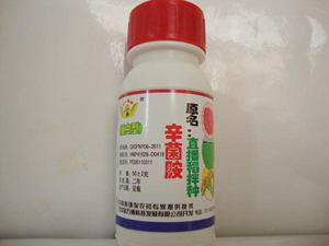直播稻拌種